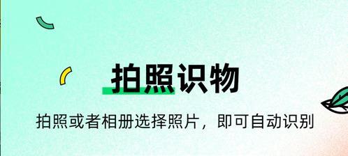 拍照识别万物的软件大全