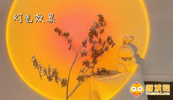 灯光效果软件大全