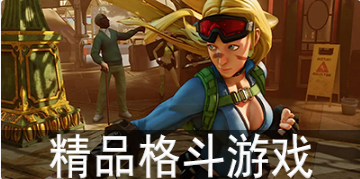 精品格斗游戏合集