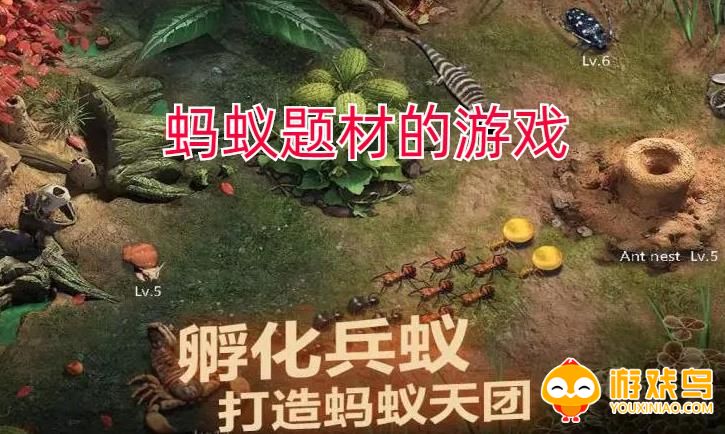 蚂蚁题材的游戏合集