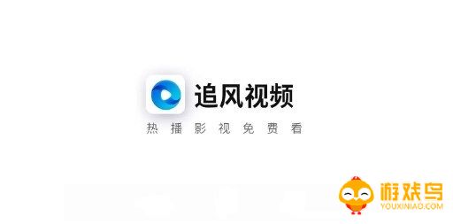 追风视频版本大全