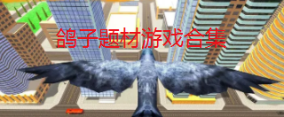 鸽子题材游戏合集