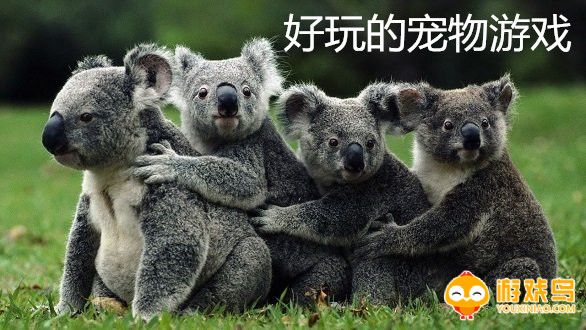 好玩的宠物游戏大全
