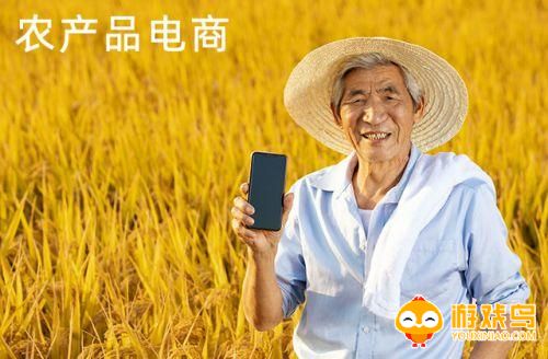 农产品电商软件大全