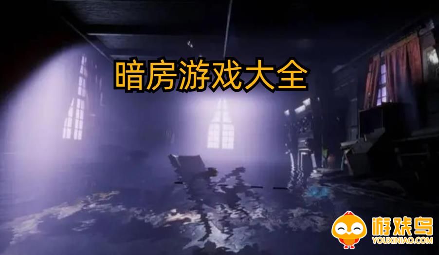 暗房游戏大全
