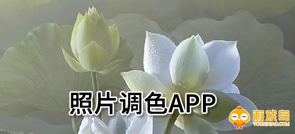 照片调色软件大全