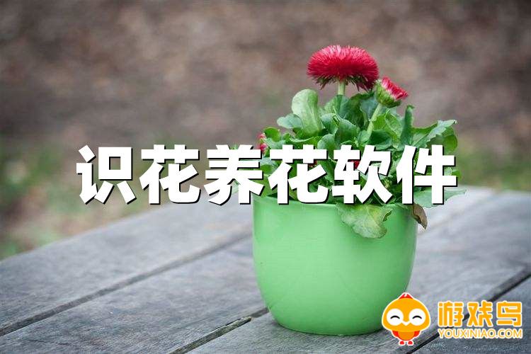 识花养花软件大全