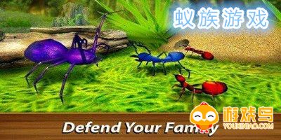 蚁族游戏合集