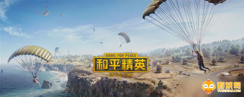 正版和平精英大全