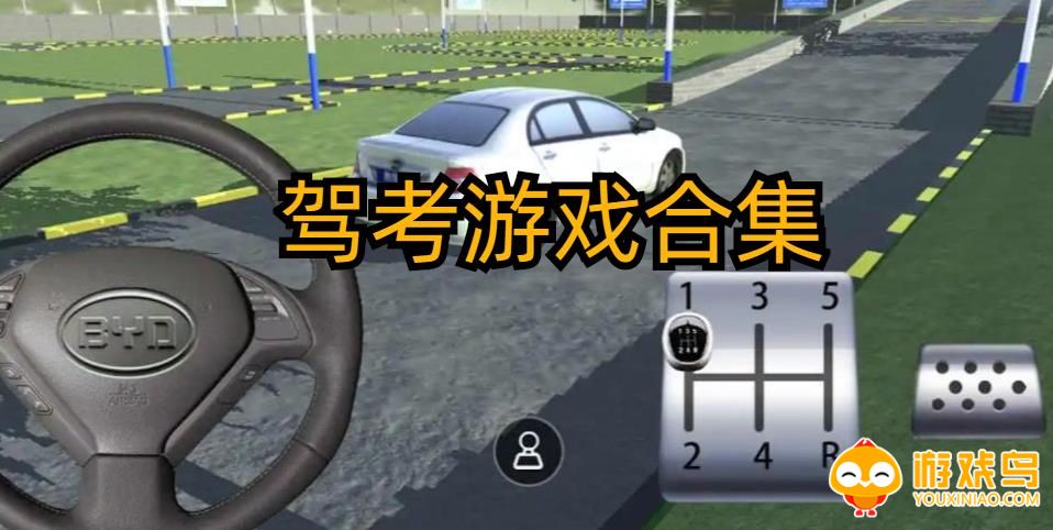 驾考游戏合集
