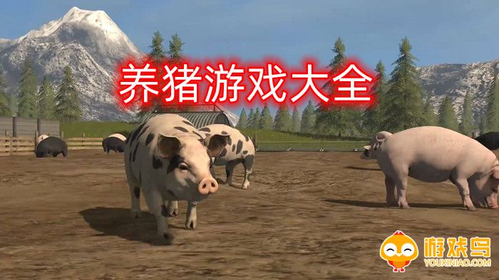 养猪游戏大全