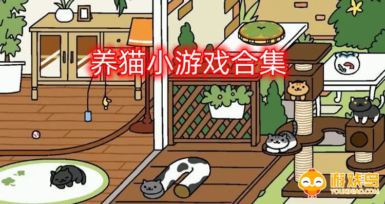 养猫小游戏合集