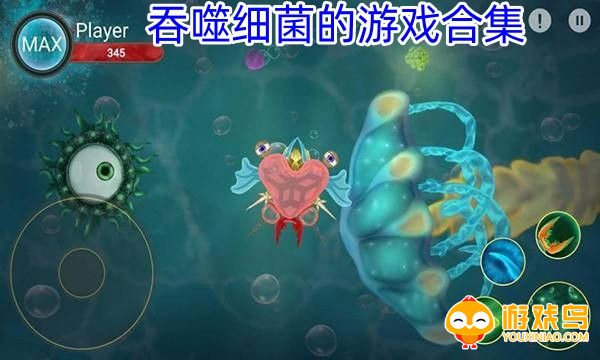 吞噬细菌的游戏合集