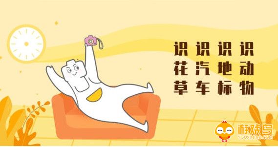 万能识物软件大全