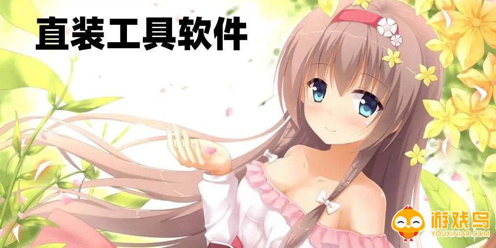 直装工具软件大全