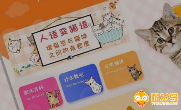 猫语交流软件大全