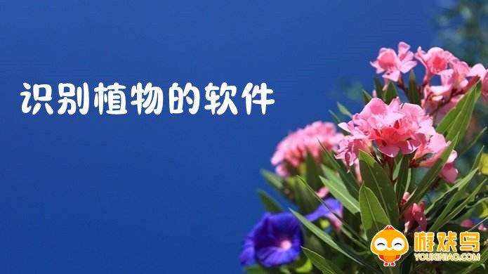 识别植物软件大全
