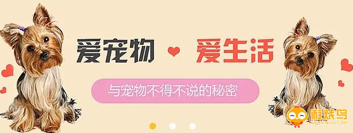 宠物对话软件大全