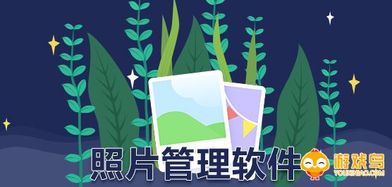 照片管理软件大全