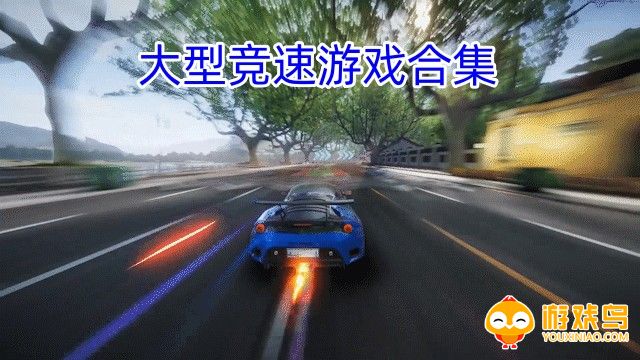 大型竞速游戏合集