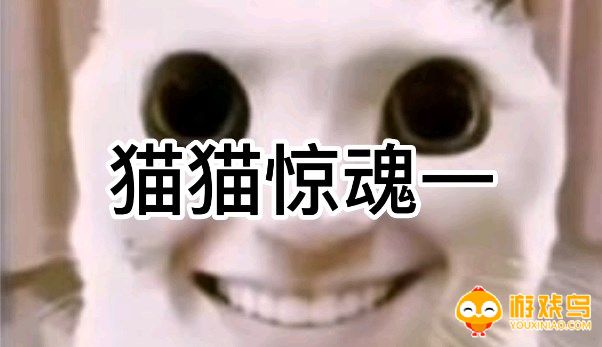 猫猫惊魂游戏合集
