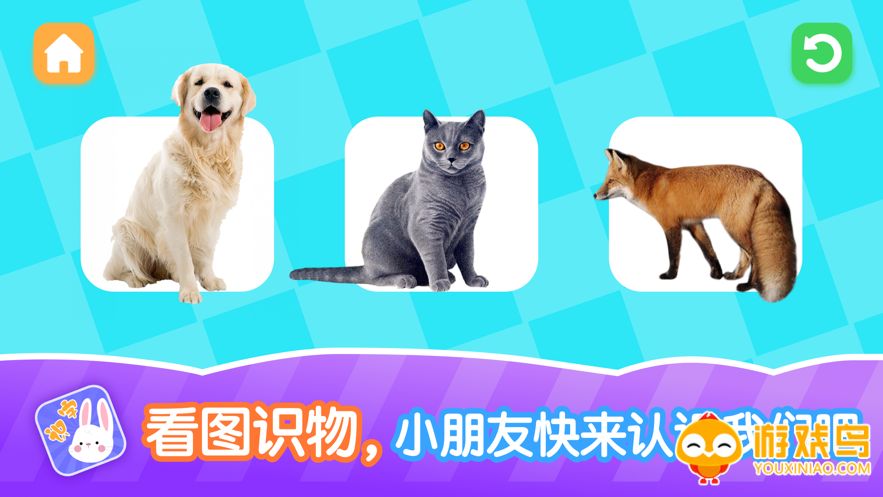 宝宝识物软件大全