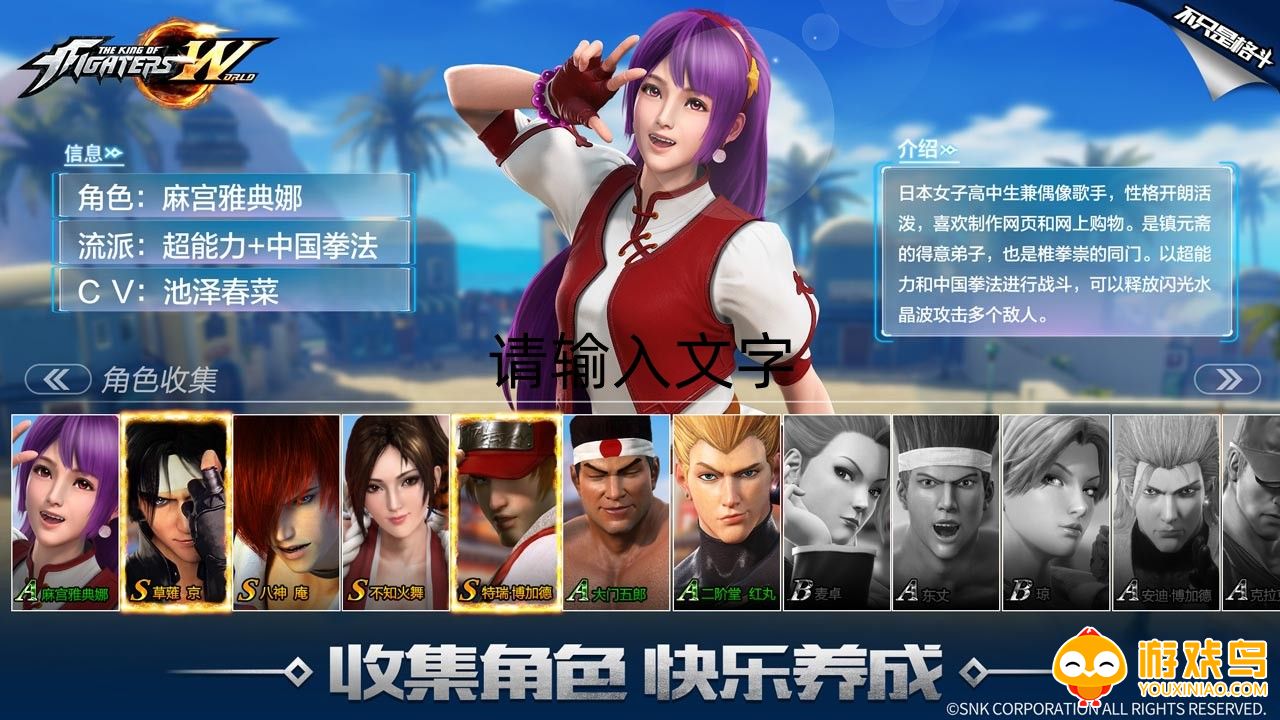 格斗养成类游戏合集