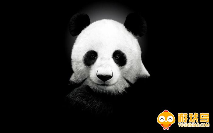 熊猫惊魂正式版合集