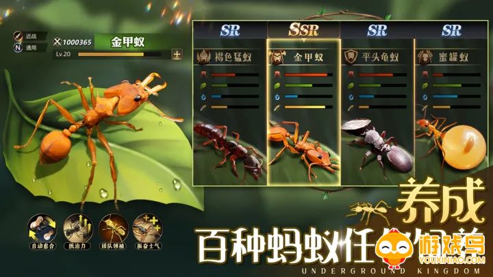蚂蚁战争游戏合集