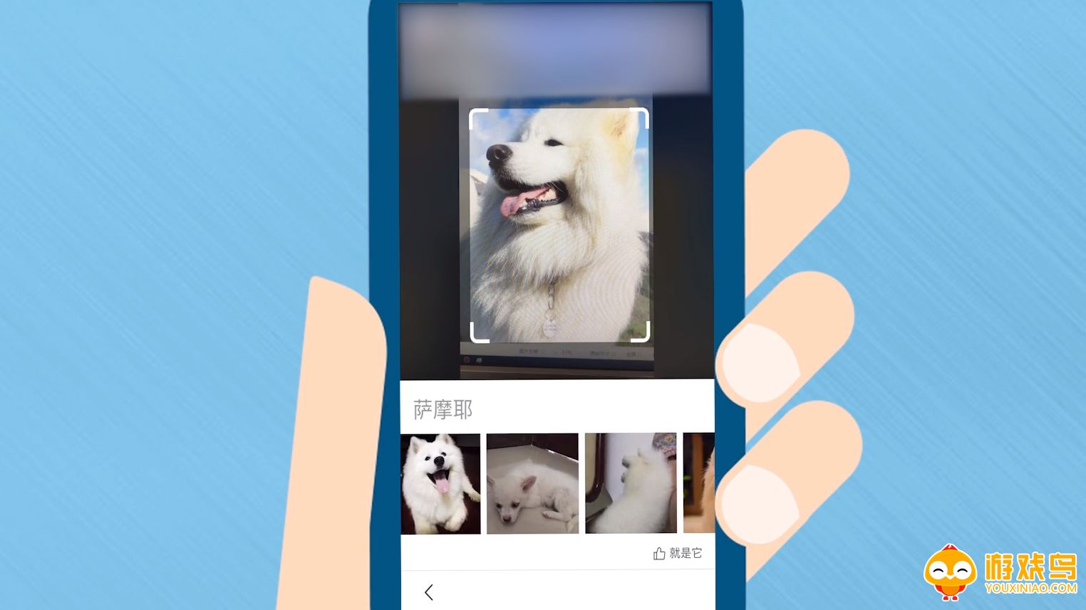 扫一扫识别物品软件大全