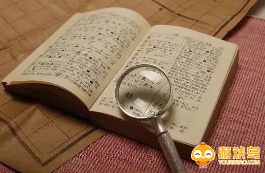 手机字典软件大全