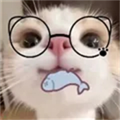 主题仓Pro