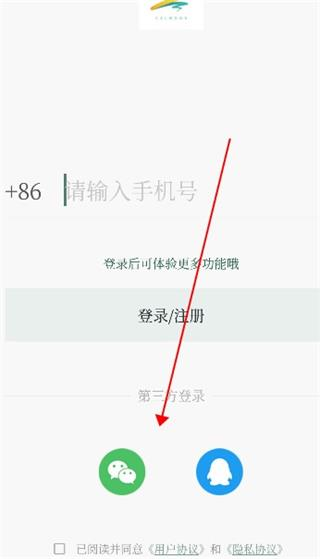 小情绪