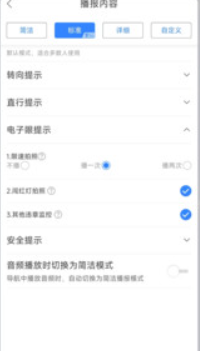 语音实时卫星导航