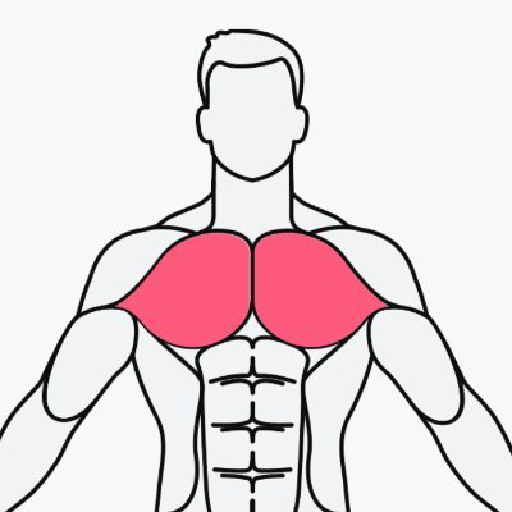 MuscleWiki中文版下载-MuscleWiki肌肉百科app下载v2.7.1安卓版