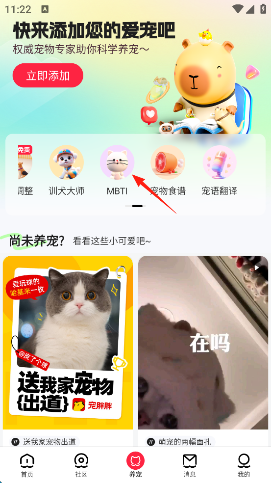 宠胖胖