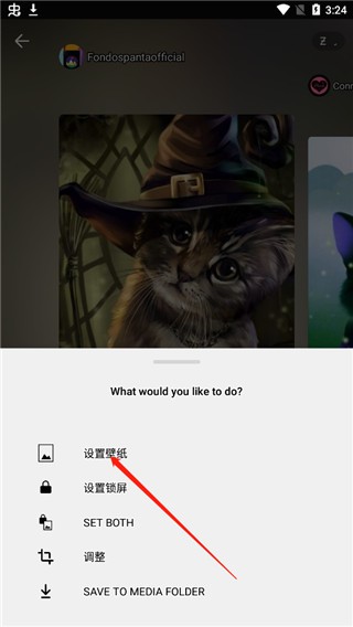 Zedge安卓版
