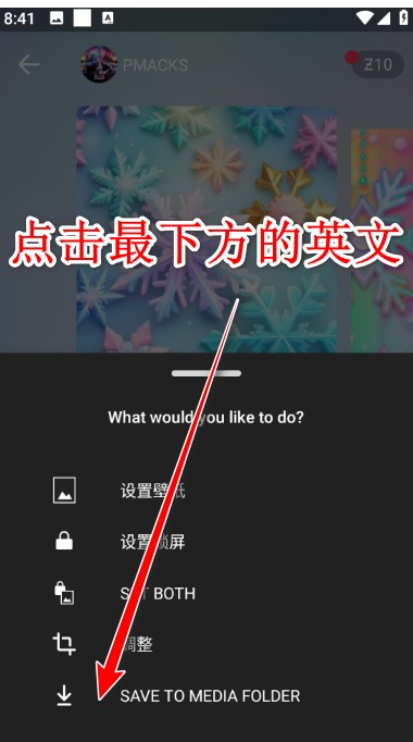 Zedge安卓版
