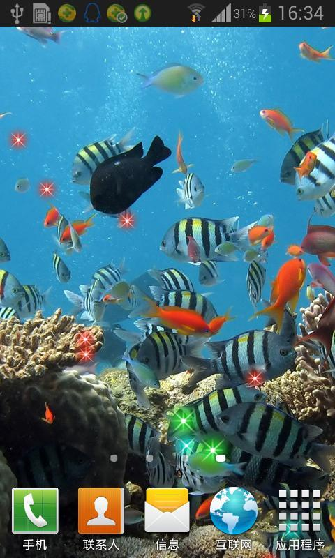 海底动态壁纸