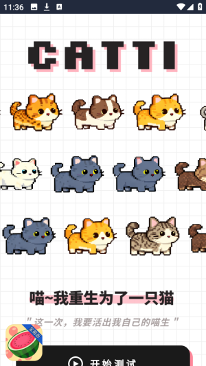 catti人格测试
