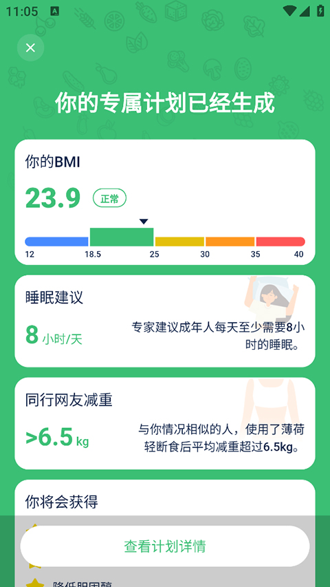 薄荷轻断食
