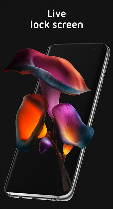 Pixel4D壁纸
