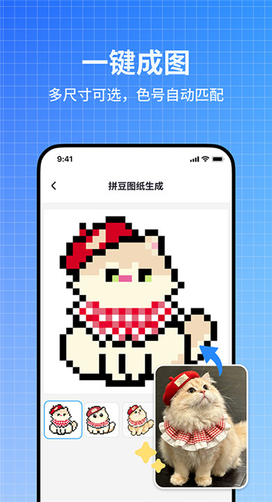 皮土豆