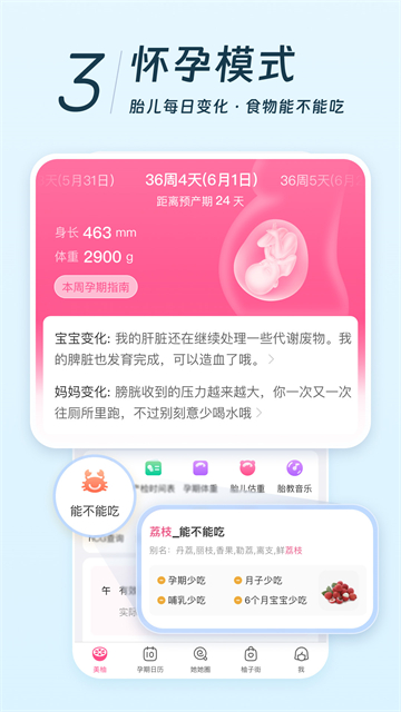 美柚孕期