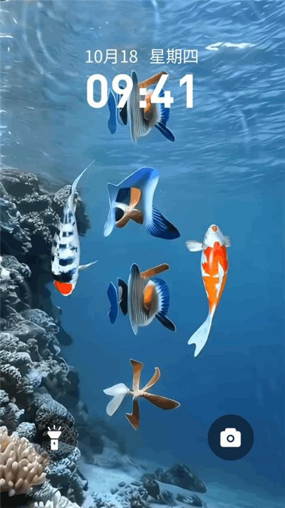锦鲤金鱼壁纸