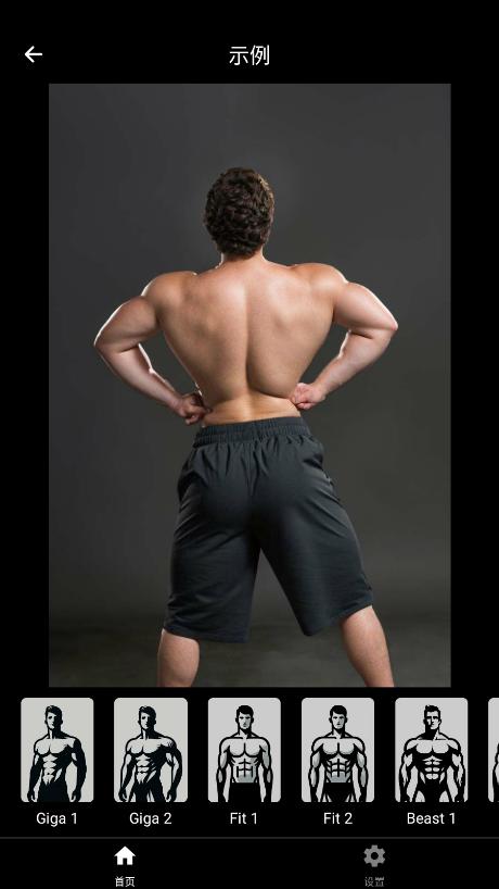 GIGABODY