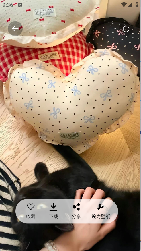 随心手机壁纸