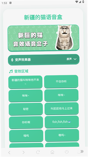 新疆的猫语音盒