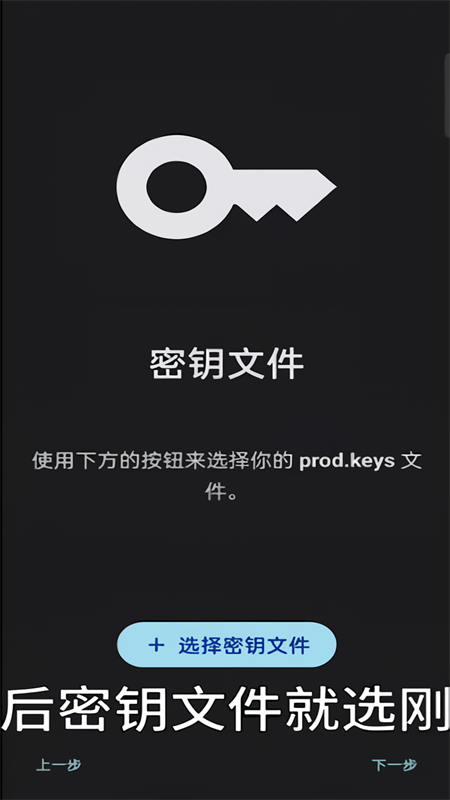 Sudachi模拟器汉化版