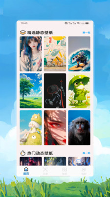 墙纸精灵